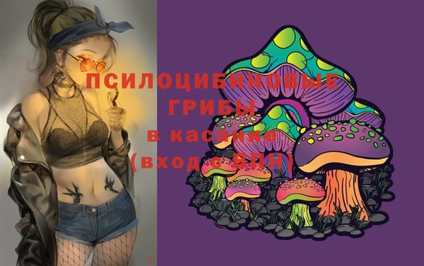 твердый Алексин
