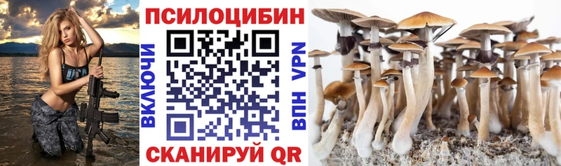 наркошоп Муром Псилоцибиновые грибы Psilocybine cubensis
